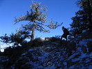 photo thumbnail #11
