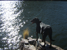 photo thumbnail #2