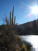 photo thumbnail #9