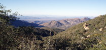 photo thumbnail #5