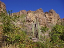 photo thumbnail #2