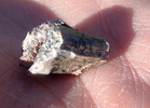 photo thumbnail #12