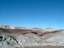 photo thumbnail #13