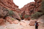 photo thumbnail #2