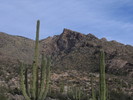 photo thumbnail #10