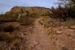 photo thumbnail #2