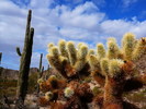 photo thumbnail #13