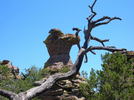 photo thumbnail #8