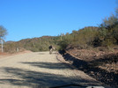photo thumbnail #1