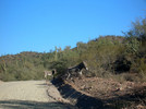 photo thumbnail #2