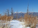 photo thumbnail #4