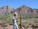 photo thumbnail #4