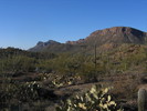 photo thumbnail #7