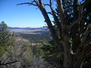 photo thumbnail #1