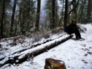 photo thumbnail #2