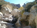 photo thumbnail #15