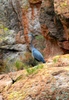 photo thumbnail #2