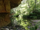 photo thumbnail #1
