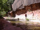 photo thumbnail #2