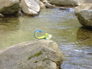 photo thumbnail #5