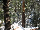 photo thumbnail #6