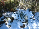 photo thumbnail #7