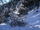 photo thumbnail #13
