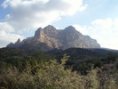 photo thumbnail #1