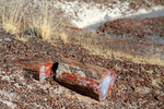 photo thumbnail #3