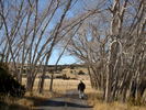 photo thumbnail #1