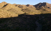 photo thumbnail #1
