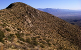 photo thumbnail #7