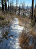 photo thumbnail #14