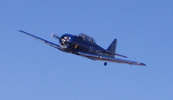 photo thumbnail #13