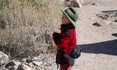 photo thumbnail #15