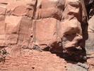 photo thumbnail #7