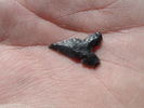 photo thumbnail #13