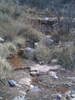 photo thumbnail #15