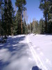 photo thumbnail #1