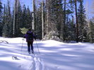 photo thumbnail #4