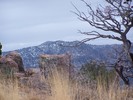 photo thumbnail #11
