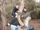 photo thumbnail #15