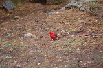 photo thumbnail #6