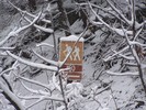 photo thumbnail #7