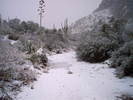 photo thumbnail #9