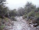 photo thumbnail #9