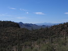 photo thumbnail #8