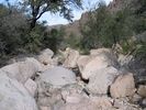 photo thumbnail #5