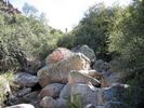 photo thumbnail #13