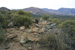 photo thumbnail #5